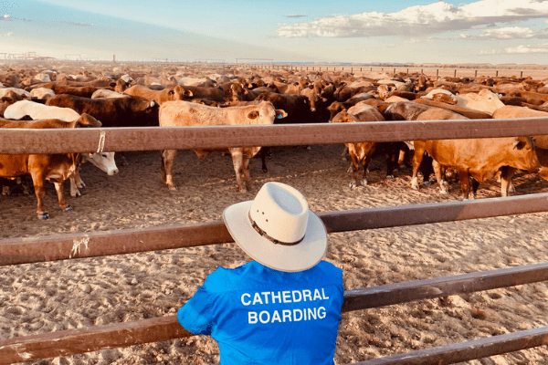 ‘Station Life’ The Cathedral School’s Outback Community Boarding Tour